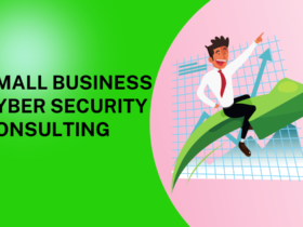 Small Business Cyber Security Consulting