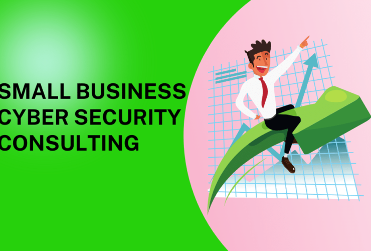 Small Business Cyber Security Consulting