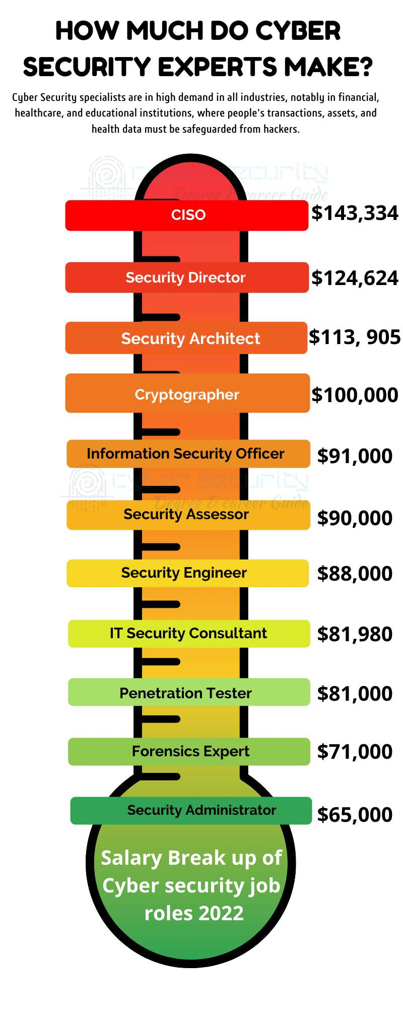 how much do Cyber Security experts make