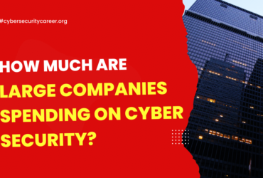 How Much are Large Companies Spending on Cyber Security