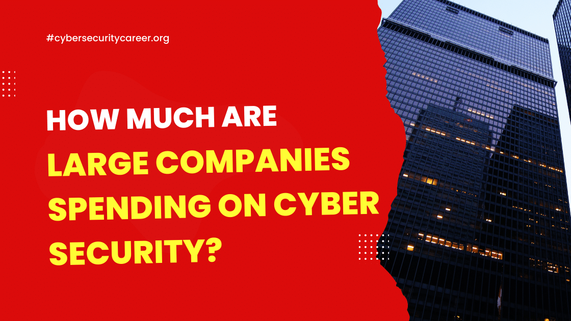 How Much are Large Companies Spending on Cyber Security