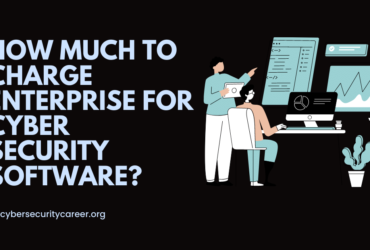 How Much to Charge Enterprise For Cyber Security Software
