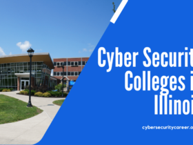 Cyber Security Colleges in Illinois