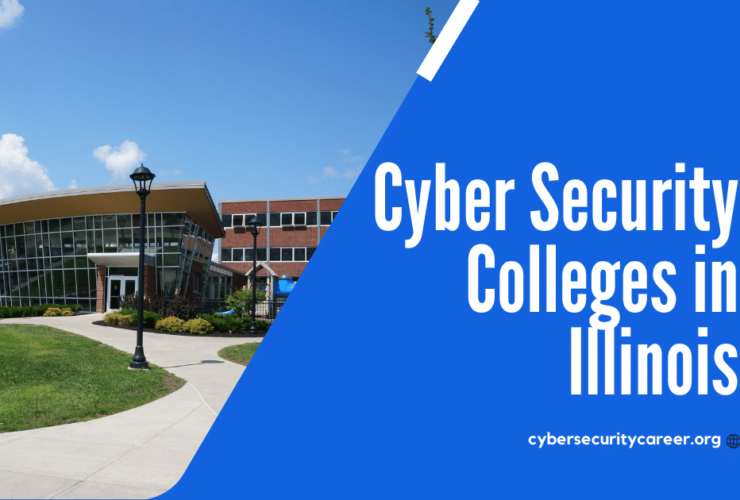 Cyber Security Colleges in Illinois