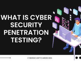 What is Cyber Security Penetration Testing