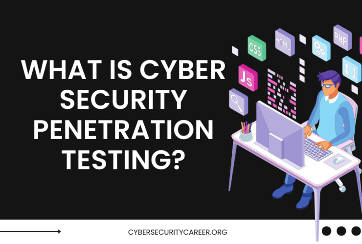 What is Cyber Security Penetration Testing