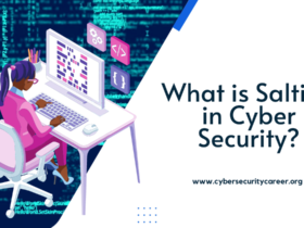 What is Salting in Cyber Security