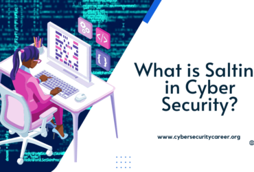 What is Salting in Cyber Security