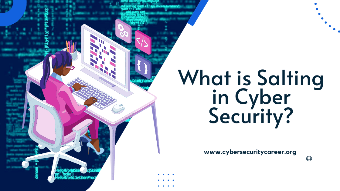 What is Salting in Cyber Security